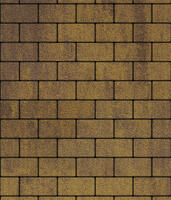  Брусчатка Выбор Прямоугольник Листопад 2.П.6 60 мм. Янтарь Гранит: внешний вид